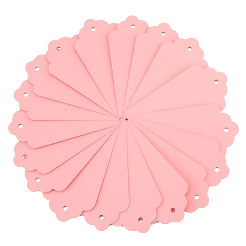 G2PLUS Kraft Paper Gift Tags  100PCS Large Plain Gift Tags 5x10CM Pink Blan 2