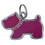 Trixie (Bone, Assorted) Trixie Fancy I.D. Tag - ASRTD 3