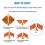 hapray Origami Kit 98 Sheets 47 Patterns, DIYCraft for Kids 6-12 5