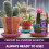 Duncan Aleene's Always Ready Original Tacky Glue 118ml, 4OZ 6