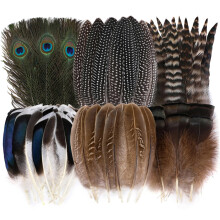 Holmgren 48pcs Natural Feathers Bulk - 6 Styles Assorted Peacock, Pheasant, Turkey Feathers for Craft DIY Jewelry Hat Wedding Home Party Decoration