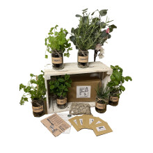 Set of 3: Indoor Herb Garden in Jars Rustic Grow Your Own Kit - Herb Planter and Gifts for Women or Men (Mint, Basil, Coriander)