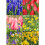 GreenBrokers 101 Promo Pack Bulbs 5