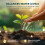 John Innes Seed Sowing Compost Soil Bag In 35 Litres - Nutrient Balanced Seed Co 6