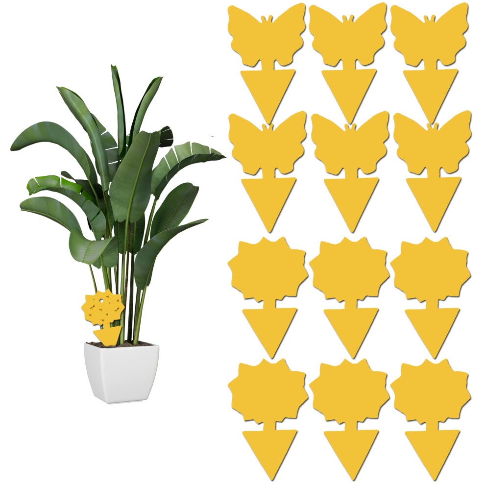Lnkey 12 Pack Sticky Fruit Fly And Fungus Gnat Trap Sticky Fly Traps Insect Killer For Houseplant Indoor And Outdoor Plants Yellow