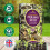 John Innes Seed Sowing Compost Soil Bag In 35 Litres - Nutrient Balanced Seed Co 3