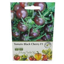 Tomato Black Cherry Seeds in Pictorial Packet from a UK Seller Heavy cropping with a Very Rich Flavour