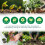 John Innes Seed Sowing Compost Soil Bag In 35 Litres - Nutrient Balanced Seed Co 5