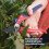 Spear & Jackson Spear & Jackson 7159BS Razorsharp Advantage Bypass Secateurs 3