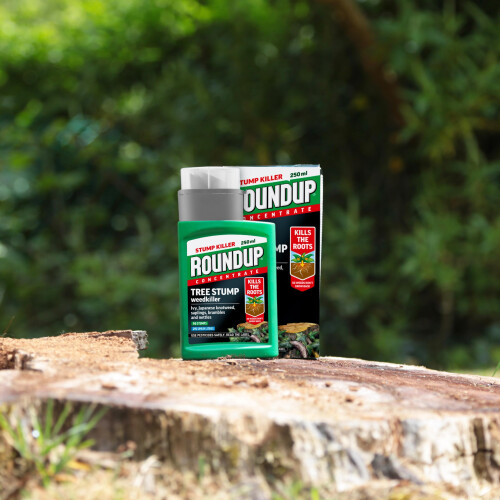 Roundup Roundup Tree Stump Weedkiller, Super Concentrate 250 ml 2