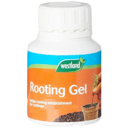 Westland Westland Organic Rooting Gel, Transparent, 150 ml