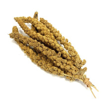 Maltby's Stores Standard Millet Sprays, 1 kg
