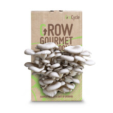 GroCycle Oyster Mushroom Growing Kit | Mushroom Grow Kit | Gardening Gifts for Women, Men & Kids | Grow Your Own Kits | Fun to Grow & Delicious to Ea