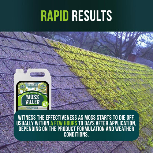 MultiWare Patio Cleaner | Moss Killer For Paths And Drives | Algae Remover | Spr 2