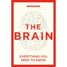 The Brain by New Scientist Paperback Book