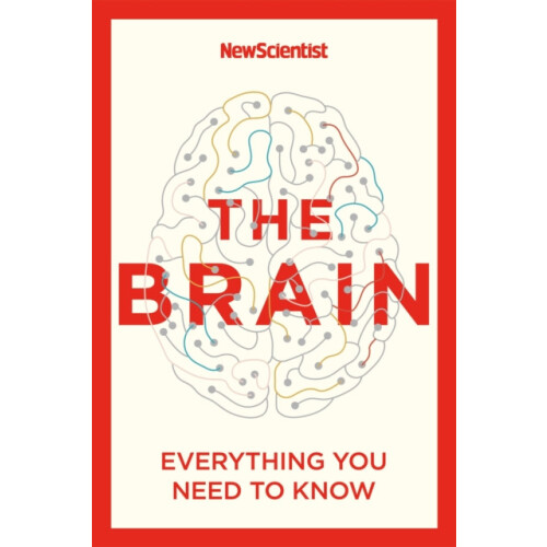 The Brain by New Scientist Paperback Book
