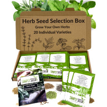 Herb Seed Selection Box - 20 Premium Quality Seed Varieties with High Germination Rate. Natural, Sustainable & GMO Free. with Instruction Booklet, Pe