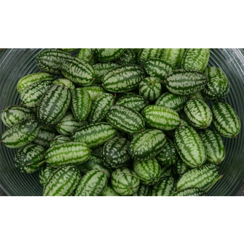 JustSeed - Vegetable - Cucamelon - 60 Seeds