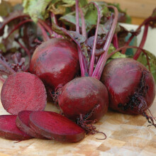 Beetroot Vegetable Seeds Grow Your Own Beet Crops for Garden, Allotment & Greenh