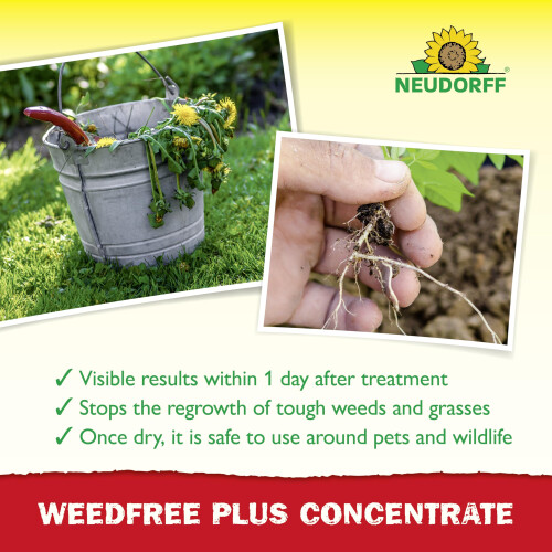 Neudorff WeedFree Plus Concentrate - Effective Weedkiller for fast, long-lasting weed control. Affects root system. Glyphosate Free, 510 ml 2