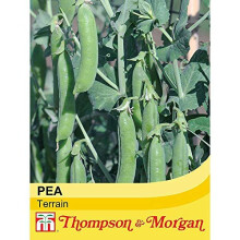 Pea Seeds, High Yielding, Fast Growing Climbing Plants, Long Cropping Season, Tasty Edible Peas, Kitchen Gardens & Allotments, 1 x Pack of Pea Terrai