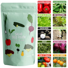 Scott&Co. Salad Seed Starter Kit, 10 Veg Varieties to Grow Your Own. Indoor and Outdoor Planting. Beetroot, Tomato, Spring Onion, Cucumber and More V