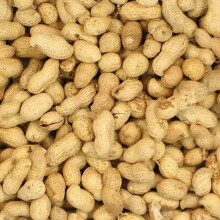 11.3kg Premium Safe Wild Bird Food Monkey Nuts Afflotoxin Free