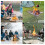 Portable Fire Pit Folding Camping Fire Pit - 42cm Stainless Steel Foldable Outdo 6