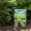 Westland Westland Lime Soil Conditioner, Natural, 4 kg 6