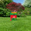 Miracle-Gro Miracle-Gro EverGreen Fast Grass Lawn Seed 480g 4