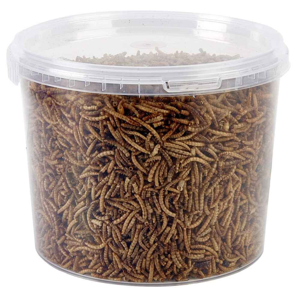 Garden Ting Dried Mealworms Tub, 3 Litre 81909285