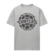 (XXL, Athletic Heather) Teenage Mutant Ninja Turtles Womens/Ladies Mutant 84 Heather T-Shirt