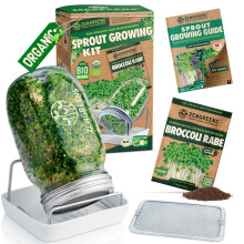 zengreens Organic Sprout Jar Set with Seeds, Tray & Video Course - Set of 1, 2 or 3 - Glass Jar - Cress Tray - Microgreens (Set of 1)