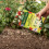 Natures Haven Easy Wildflower Mix Box - 1.2kg, GR 6
