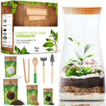 DIY Terrarium Kit for Plants - Starter Set for Garden in Bottle - Self Sustaining Ecosystem - Plant Terrarium Kit with Jar, Moss, Soil, Activated Cha