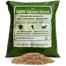 GBW Grass Seed - Quality Lawn Seed 1kg - Covers up to 60 m2 (645 ft2) New Lawns