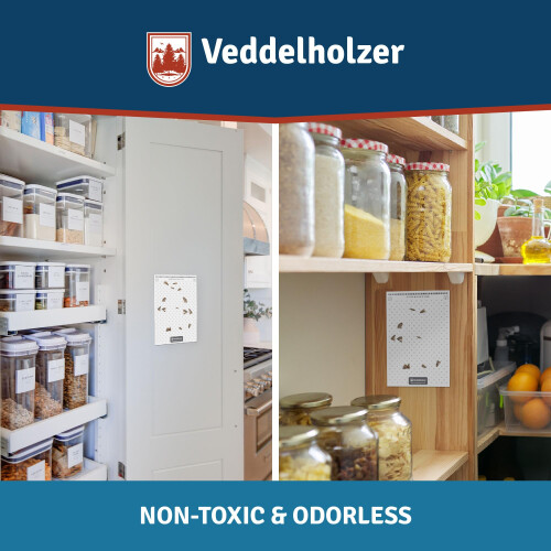 Veddelholzer 10 x Food Moth Traps with Pheromone Effective Against 2