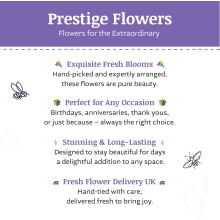 Peruvian Lily & Rose - Fresh Flowers - Birthday, Anniversary, Get Well, Thank You, Occasion Flower - Cut Floral Gifts, Weddings, Sympathy, Celebratio
