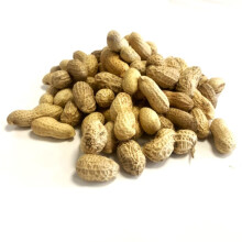 Peanuts in Shells 200g Premium Safe Wild Bird Food Monkey Nuts Afflotoxin Free MCW