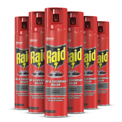Raid Ant & Cockroach Killer, Insect Killer For Indoor Use, Long Lasting Protecti