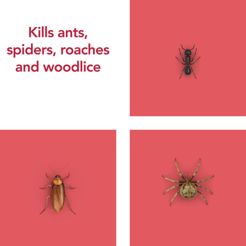 Raid Ant & Cockroach Killer, Insect Killer For Indoor Use, Long Lasting Protecti 2