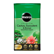Miracle-Gro Premium Cactus, Succulent & Bonsai Compost 6L Easy Carry Pack