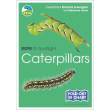 RSPB ID Spotlight Caterpillars by Marianne Taylor Other Book