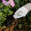 Westland Westland Boost Slow Release Plant Food 2kg 4