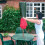 Kingfisher Parasol Cover - Packaging May Vary 2