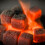 Zen Shell Coal Cubes, Coconut Charcoal 3