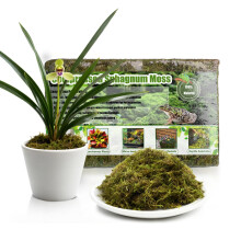 GOTVUGE Premium Sphagnum Moss, 150g Natural Moss for Orchid Potting Mix, Carnivo