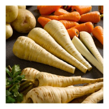 PREMIER SEEDS DIRECT - Parsnip Seeds - Tender and True - 300 Seeds (Organic)