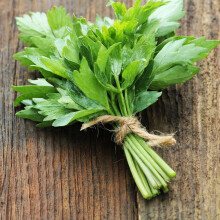 PREMIER SEEDS DIRECT - HERB - Lovage - LEVISTICUM OFFICINALE - (7000 Seeds)