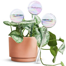 [3PCS] Light Iridescent Rainbow Gradient Color Clear Glass Self-Watering System Spikes, Automatic Plant Waterer Bulbs